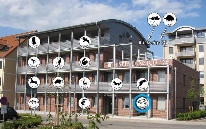 Hafendomicil Appartement Wh01 - Forelle Waren  Esterno foto