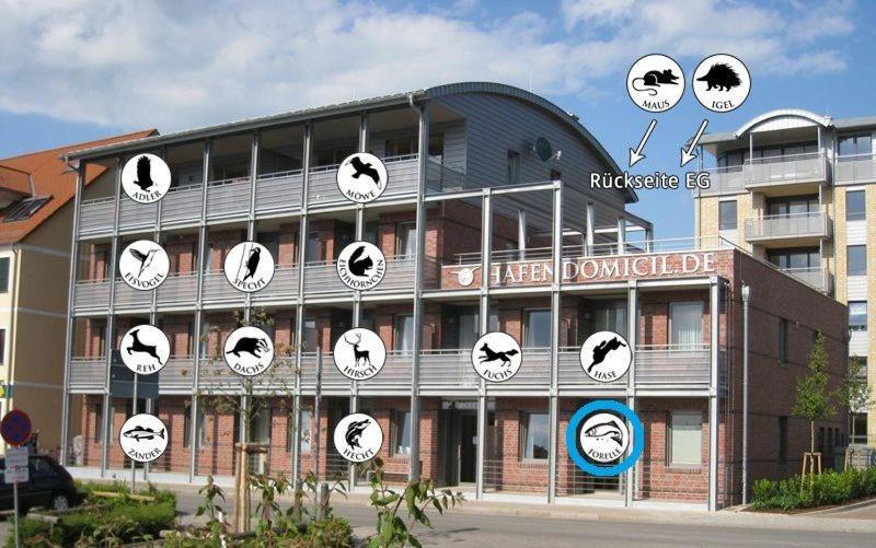 Hafendomicil Appartement Wh01 - Forelle Waren  Esterno foto